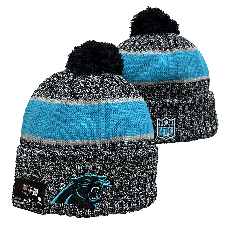 Carolina Panthers 2025 Knit Hats 013